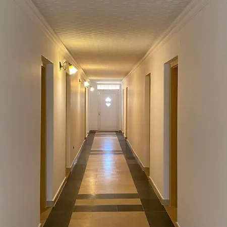 Pensiunea Paradis Vrancean Guest house *