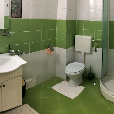 Pensiunea Paradis Vrancean Guest house *