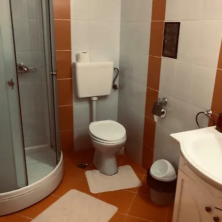 Pensiunea Paradis Vrancean Cotesti (Vrancea)